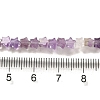 Natural Amethyst Beads Strands G-G085-B01-01-4