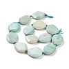 Natural Amazonite Beads Strands G-P319-22-2