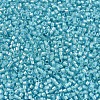 MIYUKI Delica Beads SEED-X0054-DB1708-3