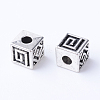 Tibetan Style Alloy Spacer Beads TIBE-Q063-77AS-RS-1