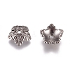 Tibetan Style Bead Caps LS-TIBEB-A24621-B-LF-2
