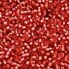 TOHO 6/0 Round Beads X-SEED-TR06-2201-4