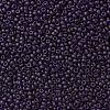 TOHO Round Seed Beads X-SEED-TR08-0008DF-2