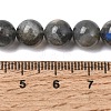 Natural Labradorite Beads Strands G-J120-28-8mm-A-4
