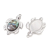 Natural Paua Shell Epoxy Resin Pendants PALLOY-JF05271-02-2