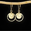 Alloy Hoop Earrings FS-WG612A9-01-2