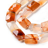 Natural Agate Beads Strands G-H024-G01-01-4