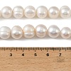 Natural Cultured Freshwater Pearl Beads Strands PEAR-L034-18D-5