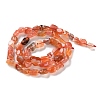 Natural Agate Beads Strands G-P497-01C-11-3