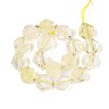 Natural Lemon Quartz(Heated) Beads Strands G-P534-A20-02-2
