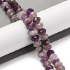 Natural Amethyst & Strawberry Quartz Beads Strands G-K380-A39-04-2