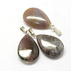 Teardrop Natural Indian Agate Pendants G-Q368-02-2