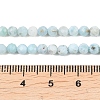 Natural Larimar Beads Strands G-B175-D08-4mm-5
