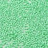 Baking Paint Glass Seed Beads SEED-S042-05B-59-3