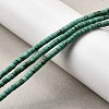 Natural Howlite Beads Strands G-F791-A01-1