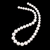 Electroplated Shell Pearl Graduated Beads Strands BSHE-C011-04-1