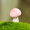 Resin Mushroom Miniature Ornaments PW-WG67BFB-03-1