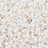TOHO 8/0 Round Beads SEED-XTR08-2100-2