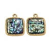 304 Stainless Steel & Natural Paua Shell Pendants SH-CBA7184-01G-G-1
