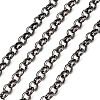 Iron Rolo Chains CHT037Y-B-1