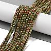 Natural Unakite Beads Strands G-B088-C15-03-2