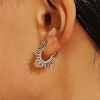 304 Stainless Steel and Brass Hoop Earrings FS-WG82045-28-1
