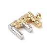 304 Stainless Steel Pendants STAS-Z170-01GP-E-2