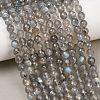 Natural Labradorite Beads Strands G-O176-04B-5