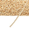 MIYUKI Delica Beads SEED-X0054-DB2501-4