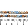 Dyed Natural Regalite/Imperial Jasper/Sea Sediment Jasper Beads Strands G-B124-C04-13-4