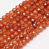 Natural Garnet Beads Strands G-F460-47-1