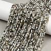 Natural Moss Agate Beads Strands G-RM2025-A33-2mm-1