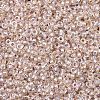 MIYUKI Round Rocailles Beads X-SEED-G007-RR1023-2