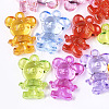Transparent Acrylic Pendants TACR-S133-018-1