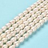 Natural Cultured Freshwater Pearl Beads Strands PEAR-E016-192-2