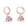 Brass Micro Pave Cubic Zirconia Dangle Hoop Earrings  EJEW-F233-03-2