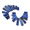 Natural Lapis Lazuli Beads Strands G-P298-I01-2