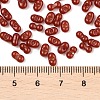 Baking Paint Glass Seed Beads SEED-L011-09A-24-4