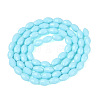 Opaque Solid Color Glass Beads Strands GLAA-N071-01A-C06-2