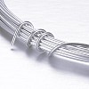 Round Aluminum Craft Wire AW-D009-3mm-5m-21-2