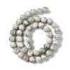 Natural Peace Jade Beads Strands G-G905-07-3