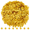 100G PVC Paillette Beads DIY-DC0003-71B-1