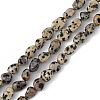 Natural Dalmatian Jasper Beads Strands G-B039-03A-1