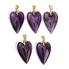 Natural Amethyst Pendants G-E570-01G-05-1