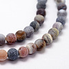 Frosted Natural Weathered Agate Beads Strands X-G-F367-8mm-07-3