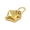 304 Stainless Steel Charms STAS-P391-01B-G-2