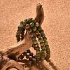 Natural Unakite Bead Stretch Bracelets X-BJEW-K212-A-006-5