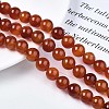 Natural Carnelian Beads Strands G-S259-32-12mm-4