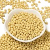 6/0 Opaque Baking Paint Glass Seed Beads X1-SEED-M012-02A-07-2