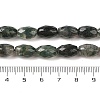 Natural Moss Agate Beads Strands G-Q194-B03-01-5